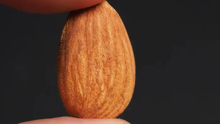holding almond between fingers