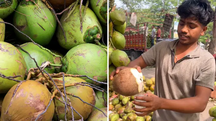 coconut with more water coconut with more water