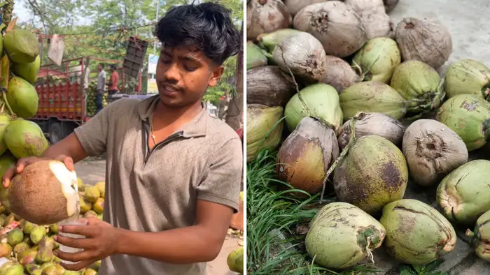 सूखे कवर का राज 