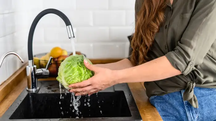 पत्तागोभी का कीड़ा कैसे हटाएं (सांकेतिक तस्वीर)<br>