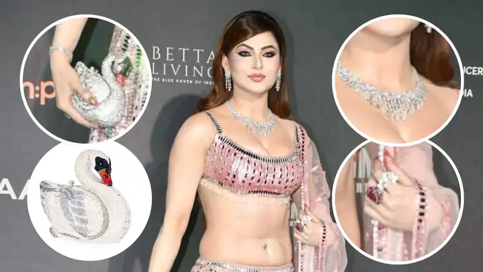 जूलरी से ज्यादा बैग बना हाइलाइट