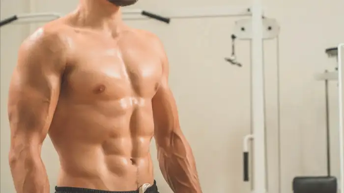 muscles body workout