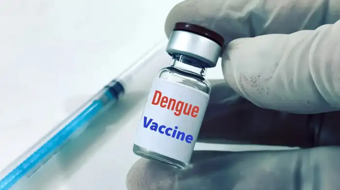 dengue vaccine dengue vaccine
