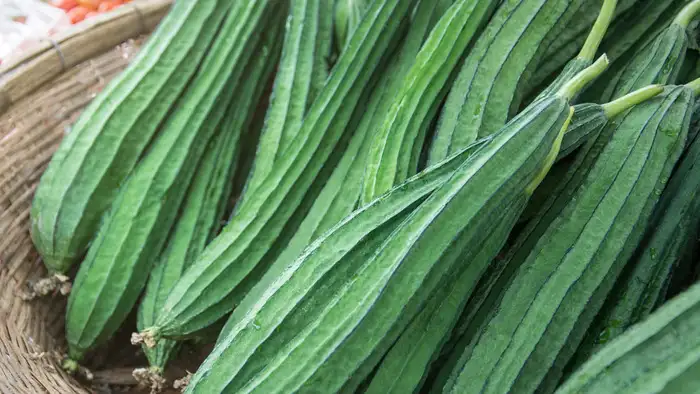 bitter ridge gourd torai tori