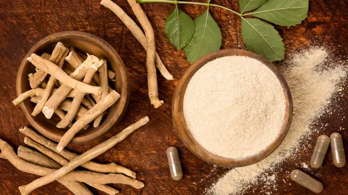 ashwagandha all types ashwagandha all types