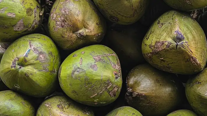 नारियल को हिलाकर चेक करें     