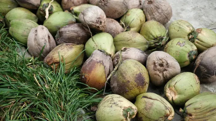 वजन और आकार का कॉम्बिनेशन