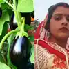 कटिहार में बैंगन के पौधों पर विवाद, महिला की हत्या से सनसनी