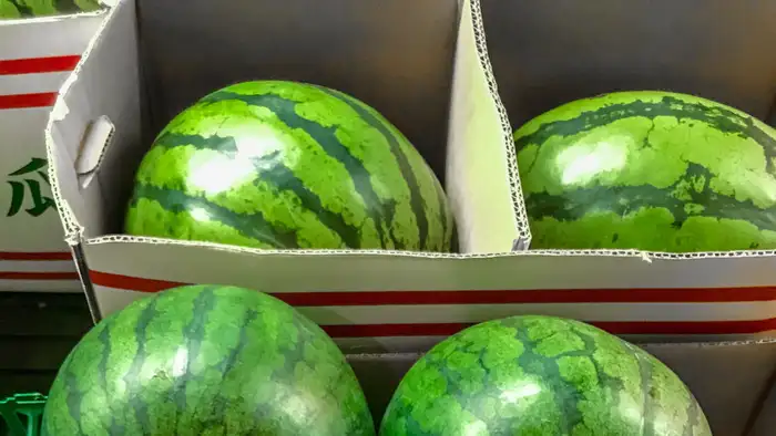 पीला पैच और स्टेम का कॉम्बिनेशन  