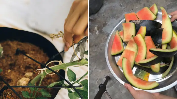 आने वाली गर्मी के लिए सुरक्षा कवच    