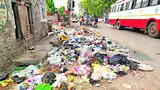 सफाई का काम ठप, कूड़ा बिखरा सफाई का काम ठप, कूड़ा बिखरा