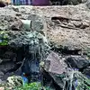 लीड, पेज 5