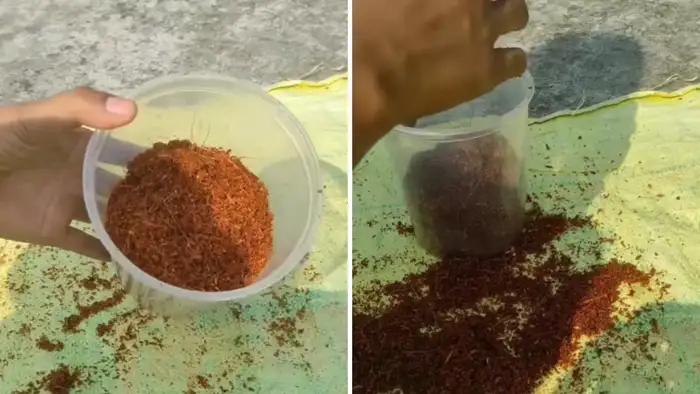 सुखाना और स्टोर करना  