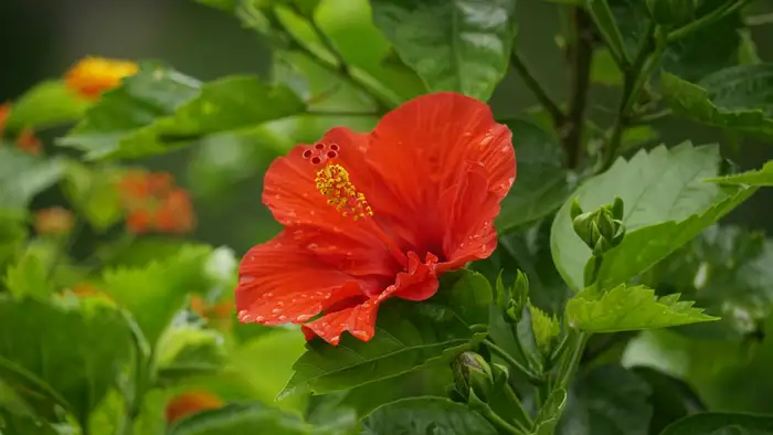 सबसे पहले समझिए क्या है वजह 