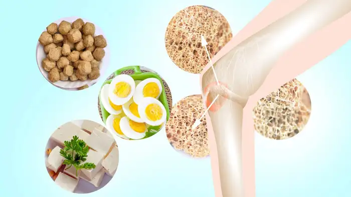 weak bones diet weak bones diet