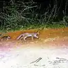 ट्रैक पर रफ्तार, स्टेशन पर कारोबार