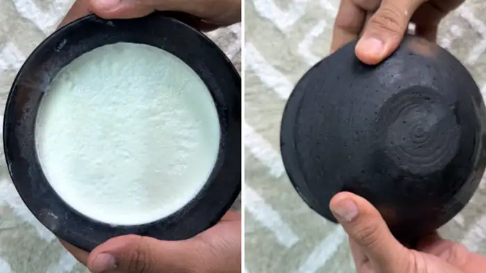 Which milk should be used to make thick curd Which milk should be used to make thick curd