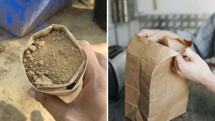 सीड जर्मिनेशन के लिए छोटे कप्स  