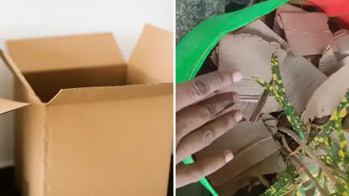 अनचाही घास-फूस पर लगाम