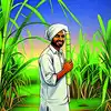 दाम रहेंगे काबू में, सरकार का चीनी निर्यात पर रोक