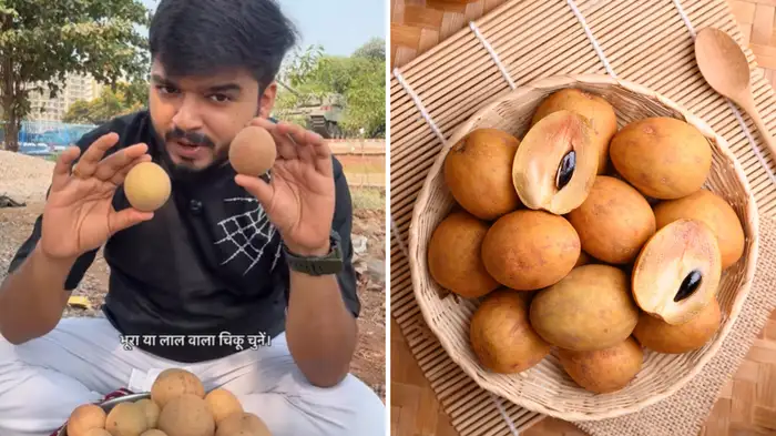 how to choose Sweet and juicy chikoo how to choose Sweet and juicy chikoo