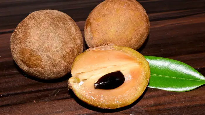 आलू जैसा सख्त चीकू न लें