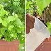 mogra plant booster and fertilizer