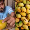 Identify Rotten And Sweet Ripe Mango Without Cutting,बाहर से अच्छा दिख ...