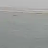 Patna Boat Capsize: पटना में गंगा नदी में डूबी नाव, 2 की मौत, 7 को ...
