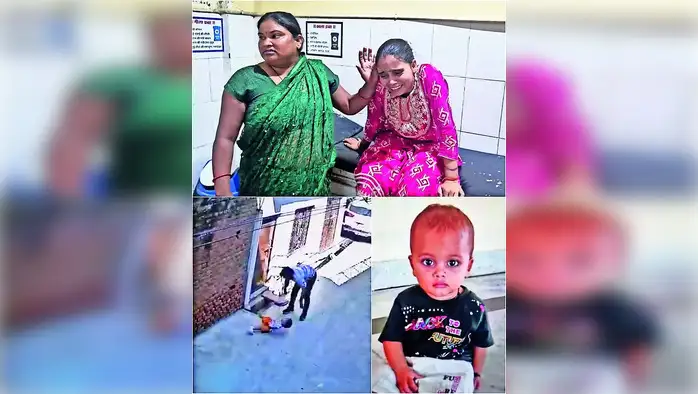 सही मिले आरोप, BMM के खिलाफ कार्रवाई की संस्तुति सही मिले आरोप, BMM के खिलाफ कार्रवाई की संस्तुति