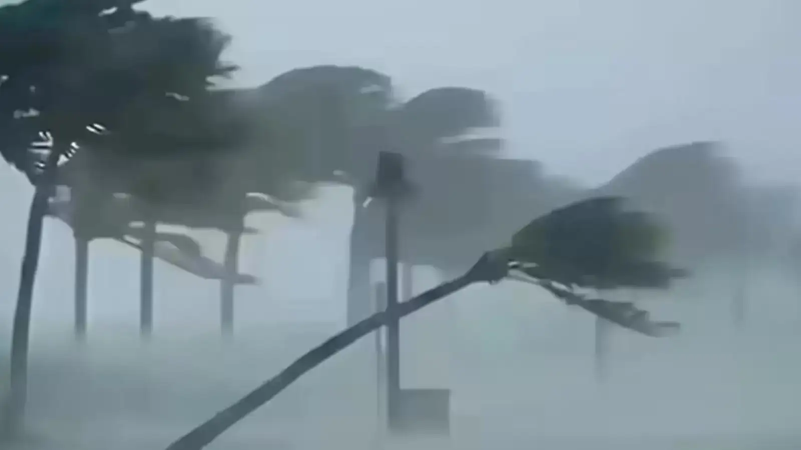 Tomorrow’s Weather, June 2: IMD Issues Heavy Rain and Thunderstorm Alert in 17 States Within 21 Hours; Winds Up to 80 kmph, Temperature Update for Delhi, UP and Bihar Tomorrow’s Weather, June 2: IMD Issues Heavy Rain and Thunderstorm Alert in 17 States Within 21 Hours; Winds Up to 80 kmph, Temperature Update for Delhi, UP and Bihar