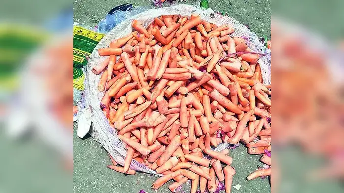 पुलिस भर्ती परीक्षा के लिए मुजफ्फरनगर और सहारनपुर के लिए स्पेशल ट्रेन पुलिस भर्ती परीक्षा के लिए मुजफ्फरनगर और सहारनपुर के लिए स्पेशल ट्रेन