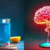 Dehydration and brain function