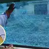मोहन भागवत जिस ट्रेन में थे सवार उस पर फिरोजाबाद में हुआ पथराव, संघ प्रमुख सुरक्षित