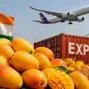 Mango Export: भारत के आम का दुनिया में जलवा, 45 देशों तक पहुंची मिठास, अमेरिका में टूटे निर्यात के पुराने रिकॉर्ड