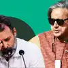 Shashi Tharoor: राहुल गांधी को जन्मदिन की बधाई देने पहुंचे कांग्रेस सांसद ने यूपी चुनाव को लेकर पार्टी को क्यों दिया झटका?