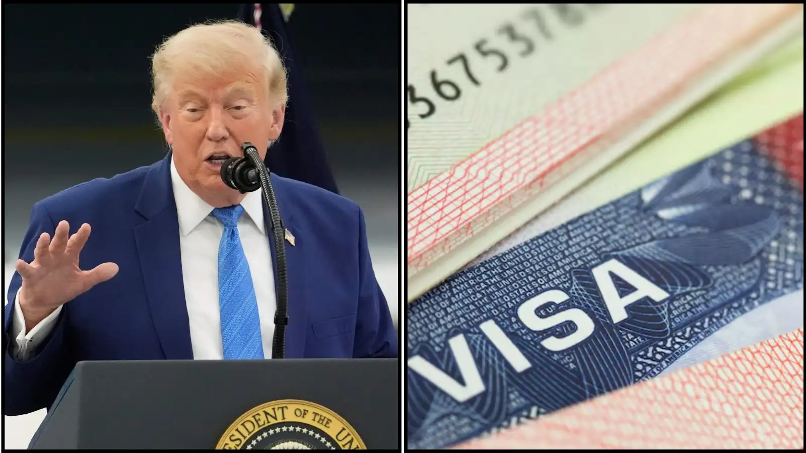 H1B फीस रद्द हुई तो तिलमिलाई ट्रंप सरकार, कोर्ट में कर दी अपील, जानें भारतीयों पर क्या होगा इस फैसले का असर