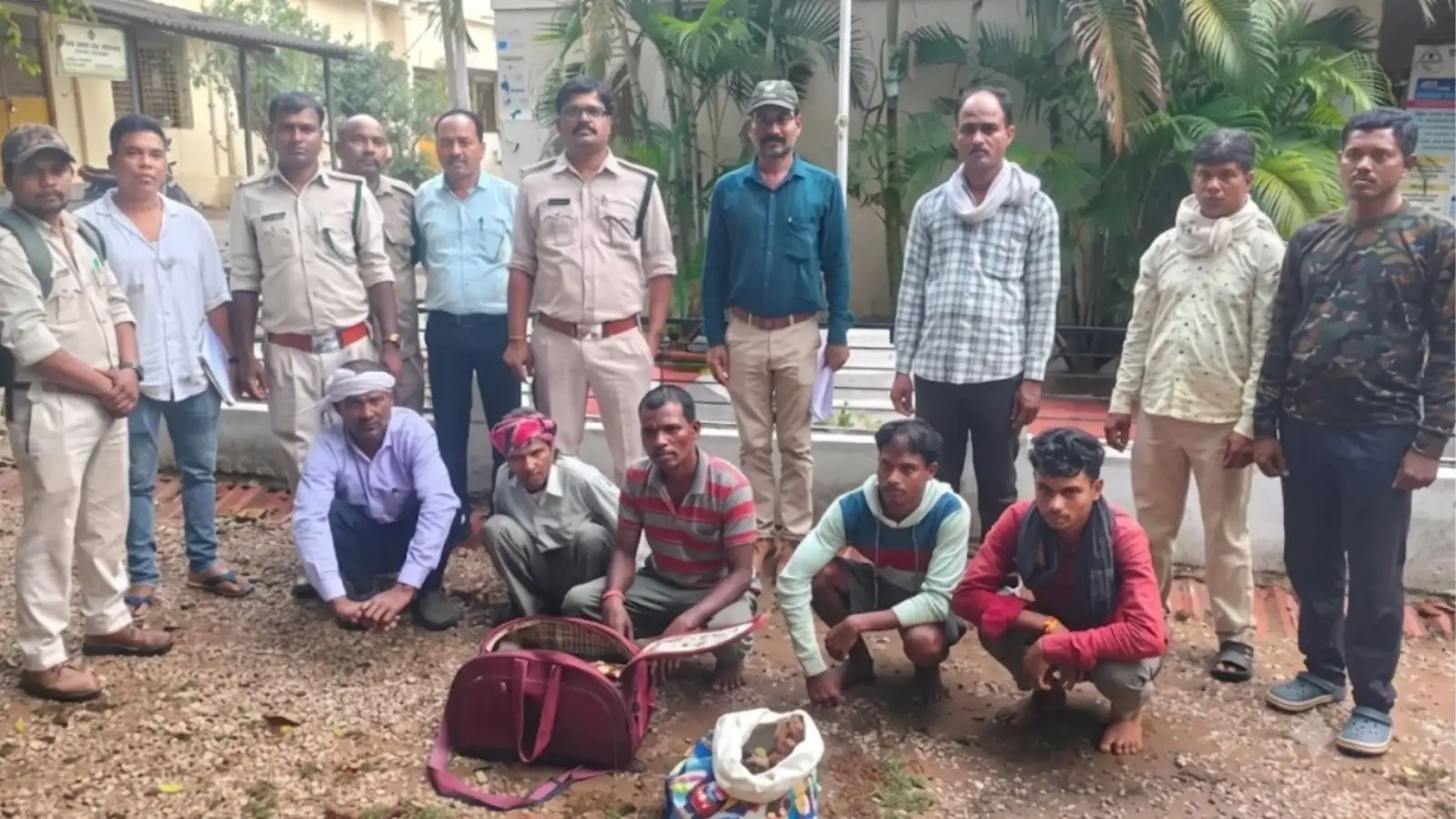 बालाघाट में दो बाघों के कंकाल के साथ 5 आरोपी गिरफ्तार, खाल, नाखून और दांत गायब, वन विभाग ने खरीदार बनकर बिछाया था जाल