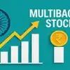 Multibagger Stock