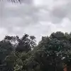 सोमवार को कैसा रहेगा बिहार में मौसम? 20 जिलों में बारिश और व्रजपात की चेतावनी जारी, जानिए कल कहां- कहां बरसेंगे बदरा