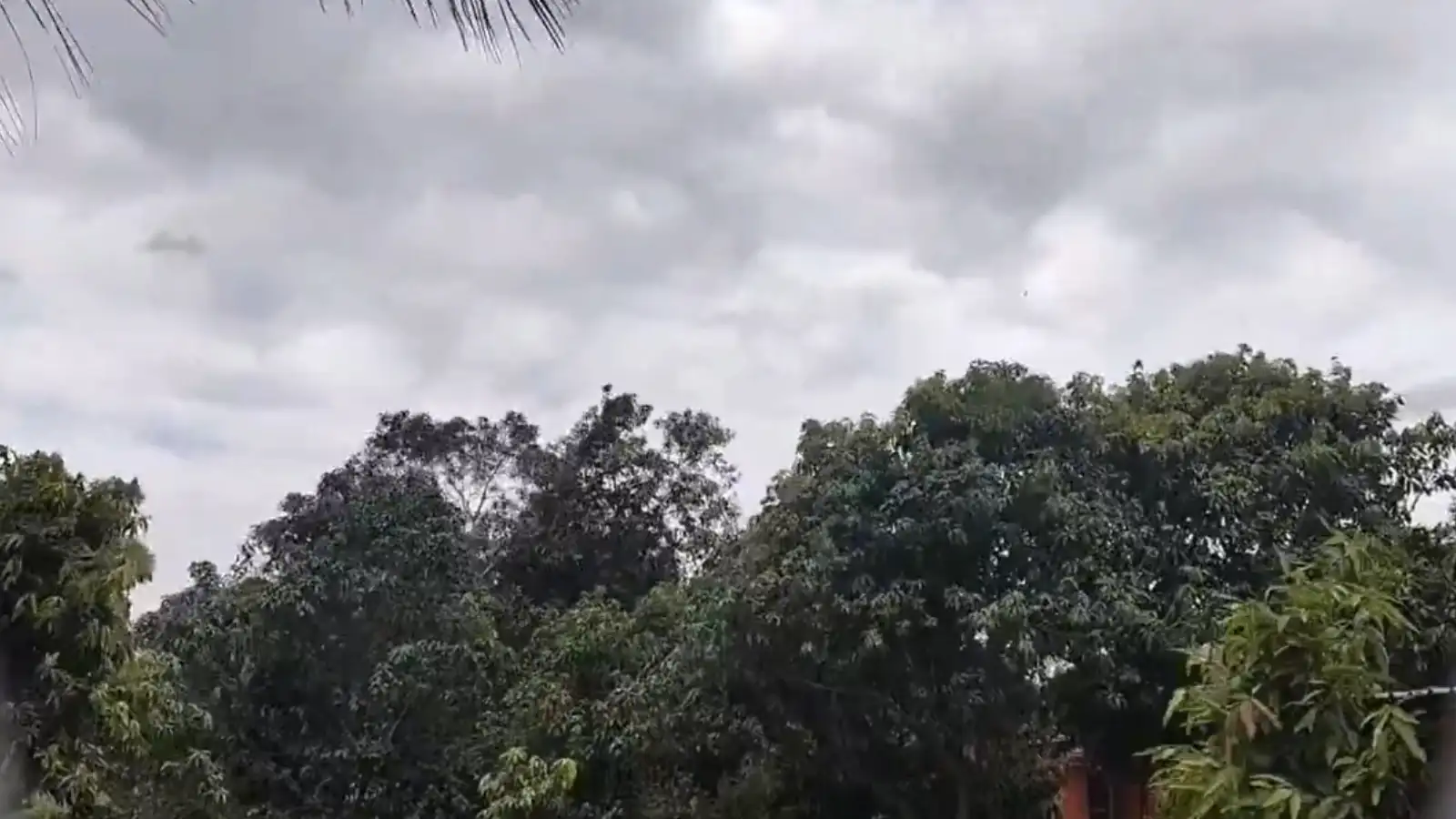 सोमवार को कैसा रहेगा बिहार में मौसम? 20 जिलों में बारिश और व्रजपात की चेतावनी जारी, जानिए कल कहां- कहां बरसेंगे बदरा