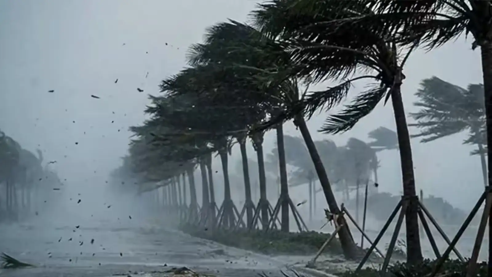 कल का मौसम 12 जुलाई: 15 घंटे के अंदर 18 राज्यों में भारी बारिश-तूफान का अलर्ट, 70 की रफ्तार से हवा; IMD अपडेट