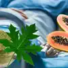 papaya leaf