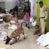 फिल्मी स्टाइल में कोरियर ऑफिस में चोरी, 15 फीट ऊंचाई से तार के सहारे ऑफिस में उतरे चोर, 15 मिनट में 4.5 लाख और कीमती पार्सल समेटे