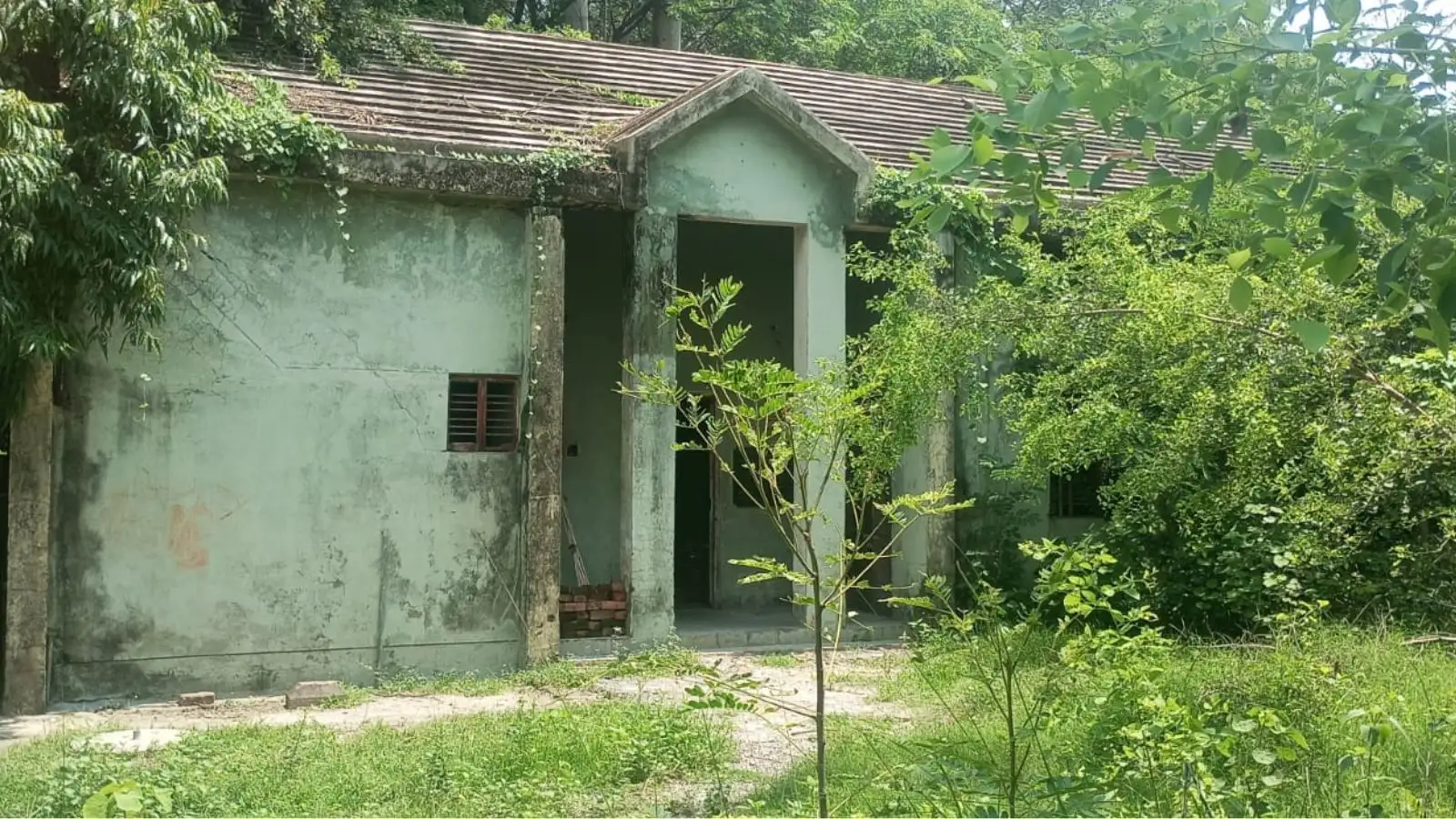 34 साल बाद फिर चमकेगा 'कल्पनाथ का सपना', सरायसादी का ऐतिहासिक सोलर प्लांट बनेगा 5 मेगावाट का ऊर्जा पार्क