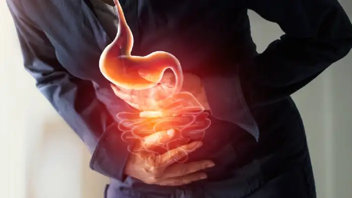 gut health intestine stomach