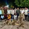 'भगवान सिंह' कैसे बना 'सलीम'? 10 तेंदुओं के शिकार के आरोपी के पास मिला फर्जी आधार कार्ड, रडार पर आया NGO