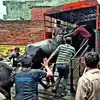 ओसीआर विधायक निवास में स्ट्रे डॉग्स ने बच्चे को नोंचा