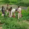 नालंदा में शराब ढूंढ़ने गई उत्पाद विभाग की टीम पर हमला, छह पुलिसकर्मी गंभीर रूप से घायल