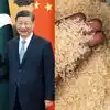 चीन को चावल निर्यात का रिकॉर्ड बनाने पर पाकिस्तान की नजर, भारत के मुकाबले से हटने ने दिया मौका